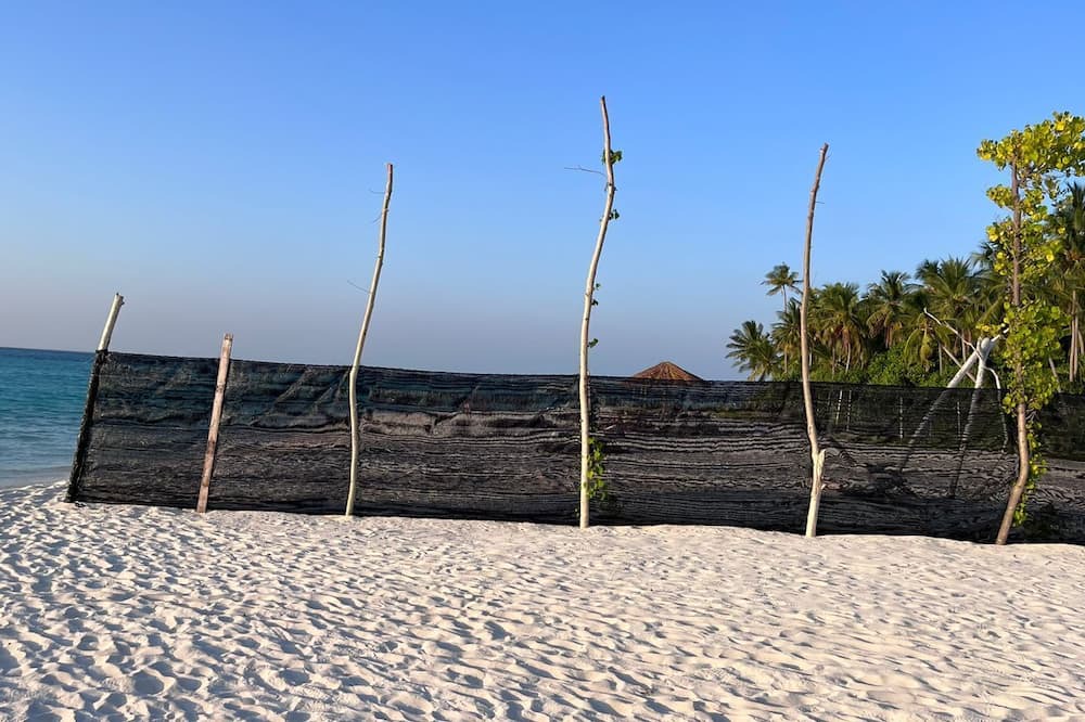 Photo of Others in Himandhoo