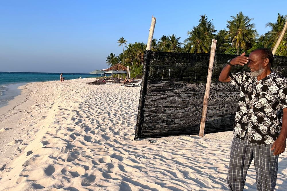 Photo of Others in Himandhoo