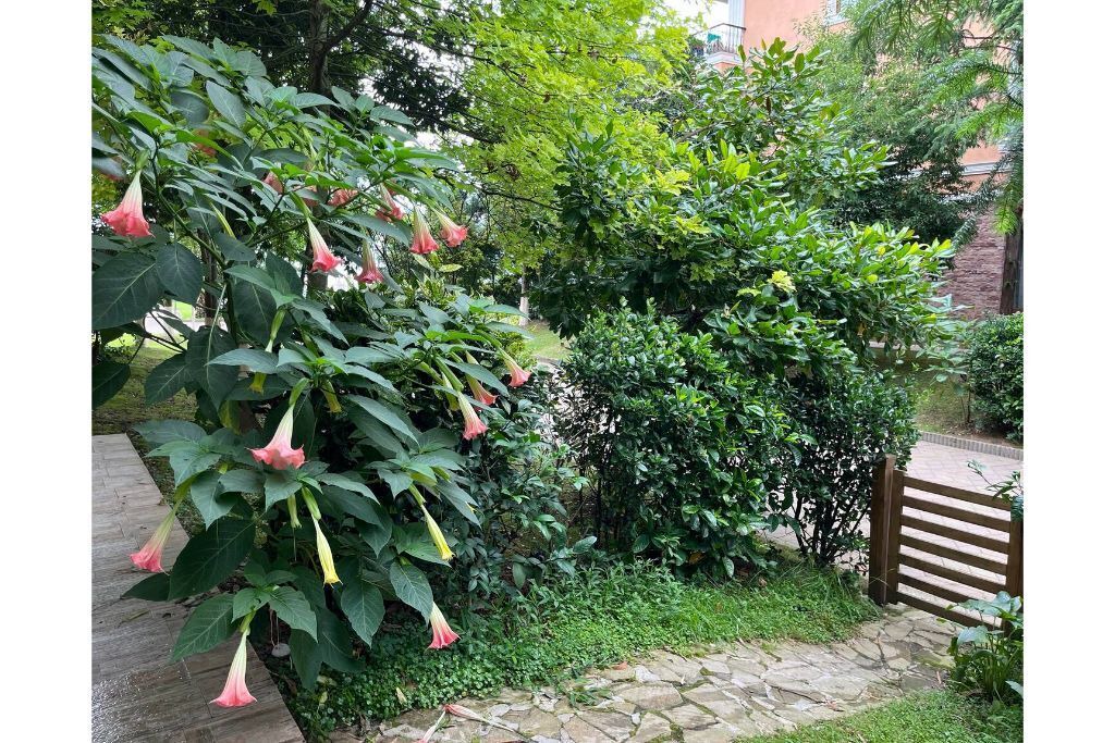 Photo of Outdoor in Chakvi