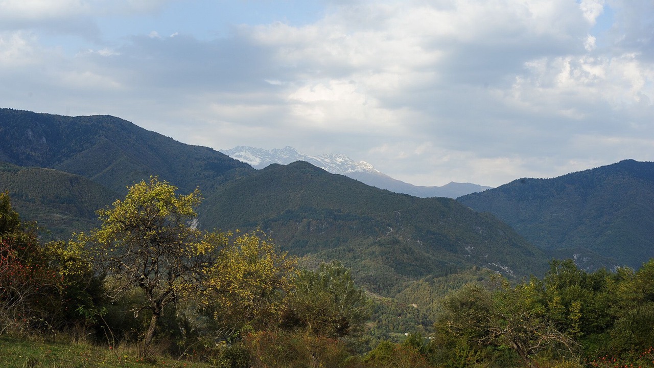 Photo of Others in Ambrolauri