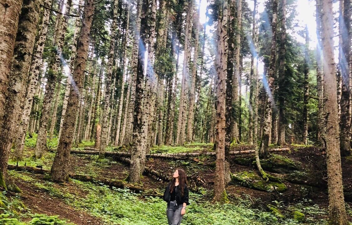 Photo of Outdoor in Ambrolauri