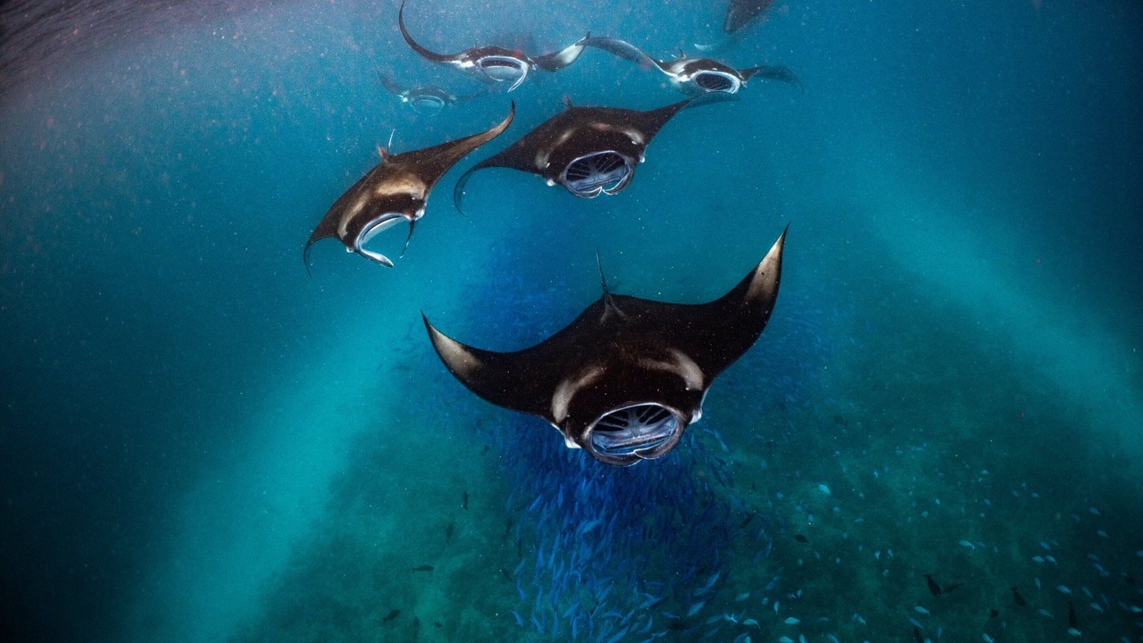 Photo of Others in Vakaru
