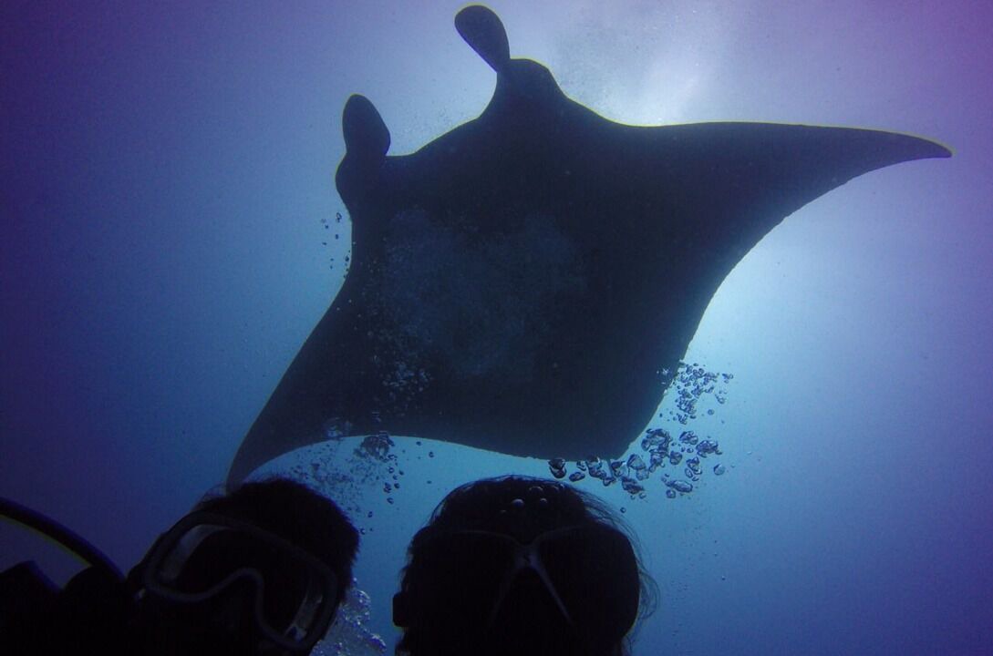 Photo of Others in Thulusdhoo Island
