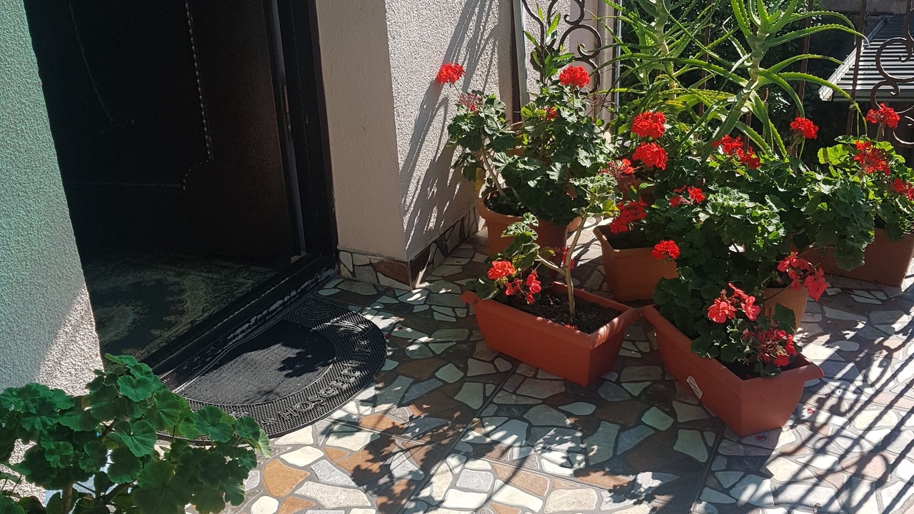 Photo of Outdoor in Kutaisi