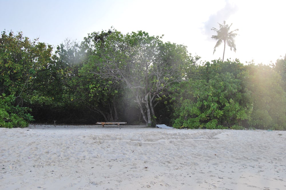 Photo of Others in Himandhoo