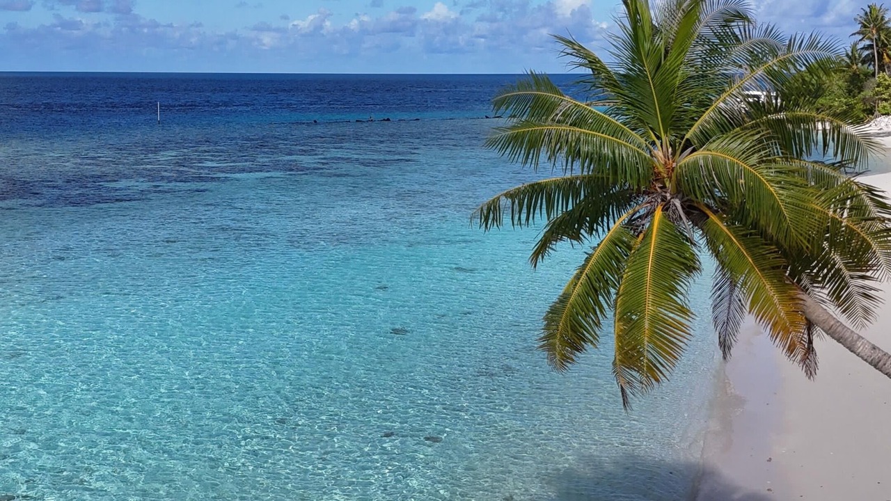 Photo of Others in Omadhoo