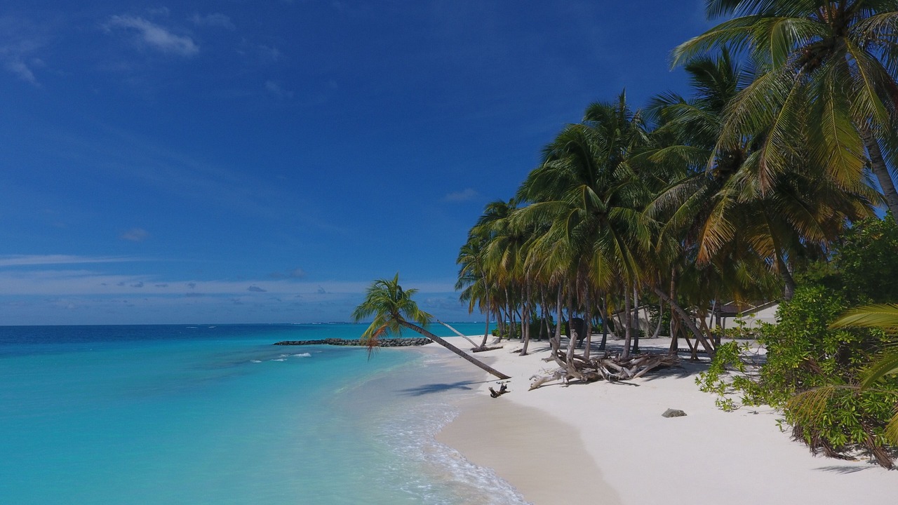 Photo of Others in Mandhoo