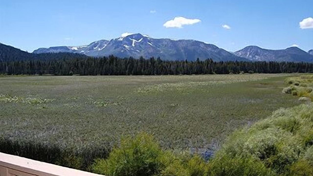 Photo of Others in Tahoe Keys