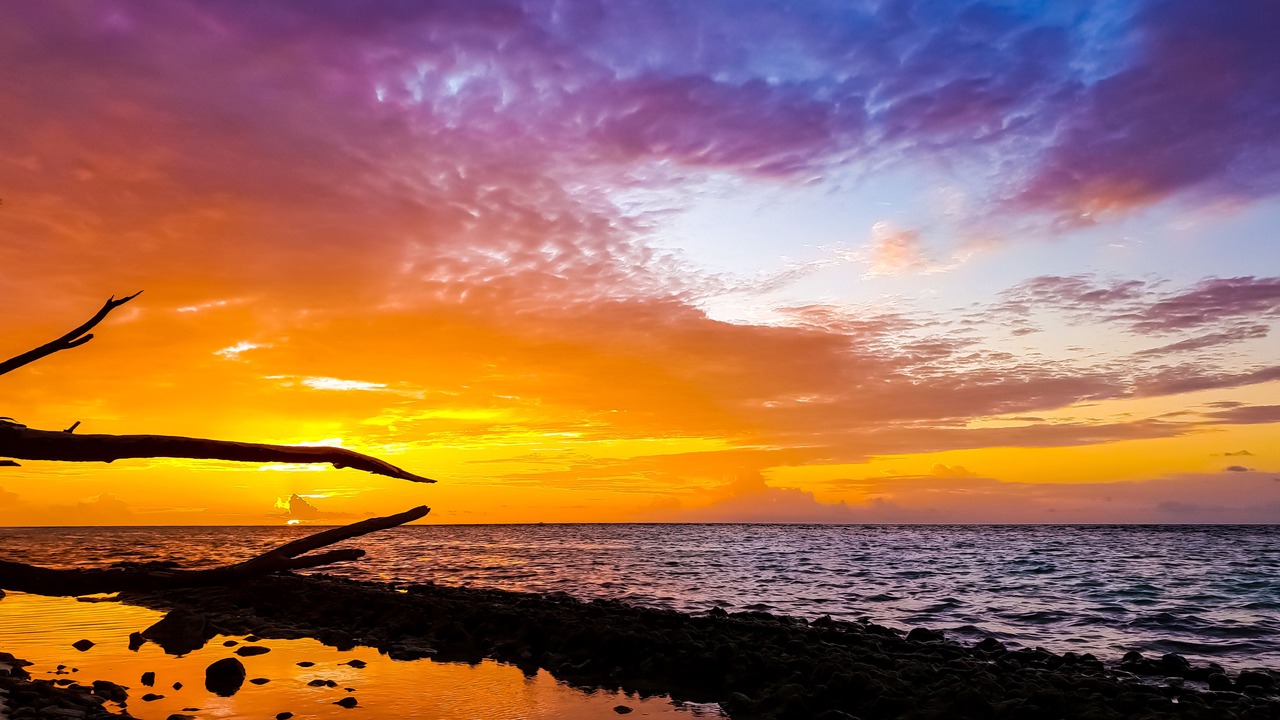 Photo of Others in Omadhoo