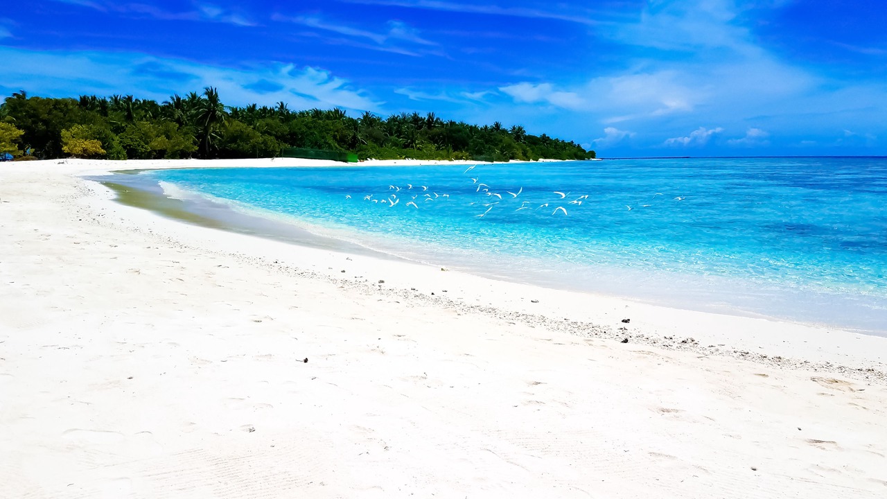 Photo of Others in Omadhoo
