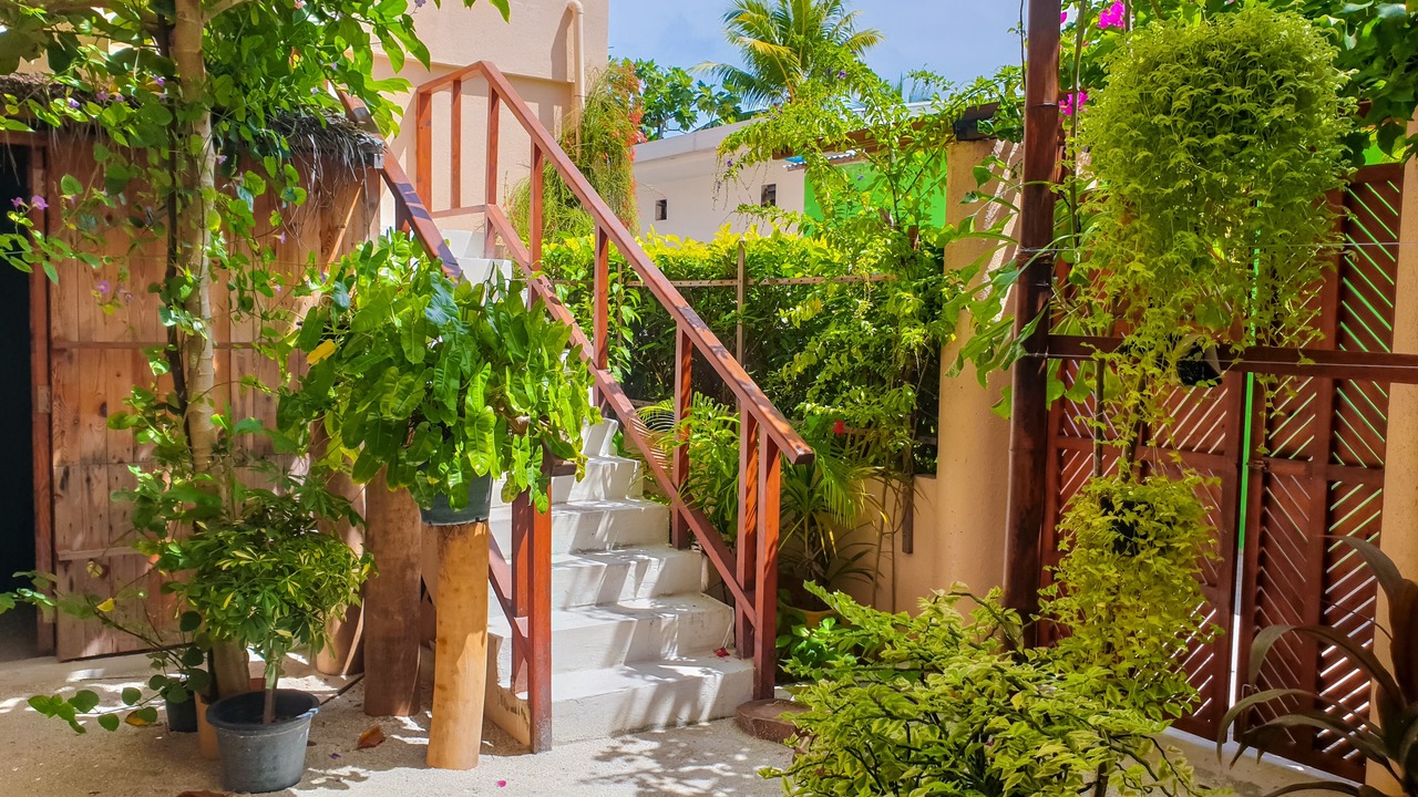 Photo of Outdoor in Omadhoo