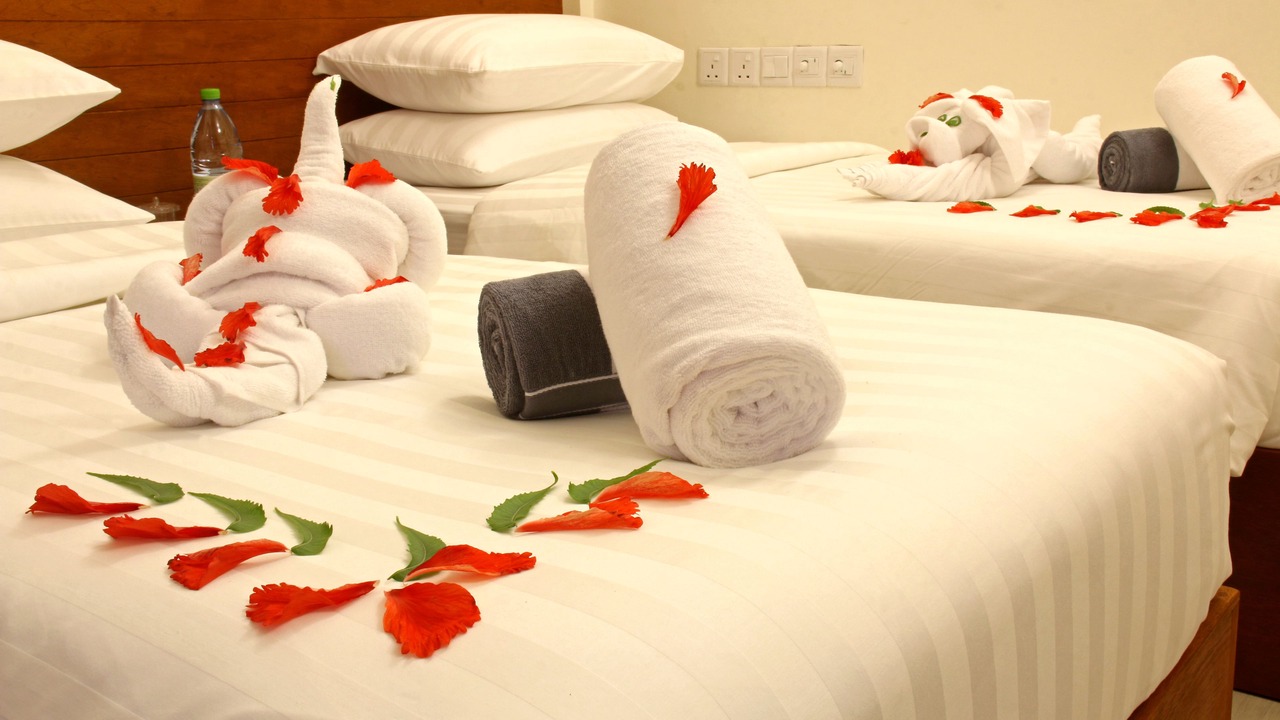 Photo of Bedroom in Omadhoo