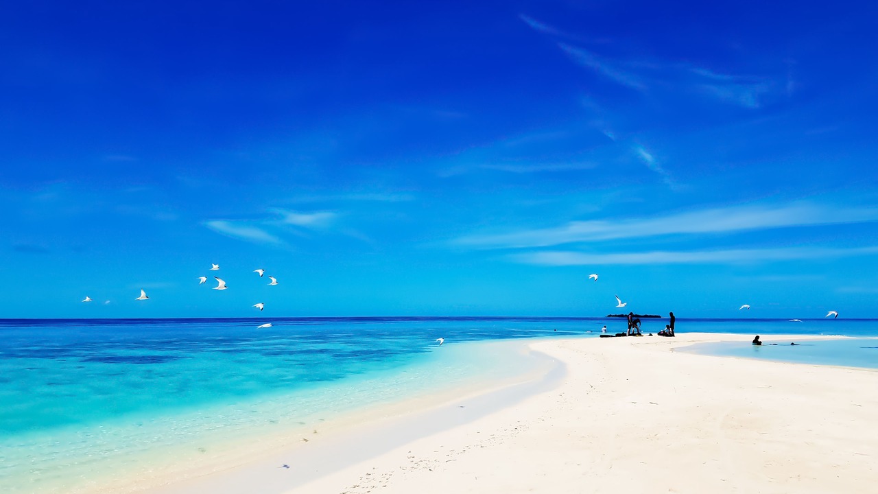 Photo of Others in Omadhoo