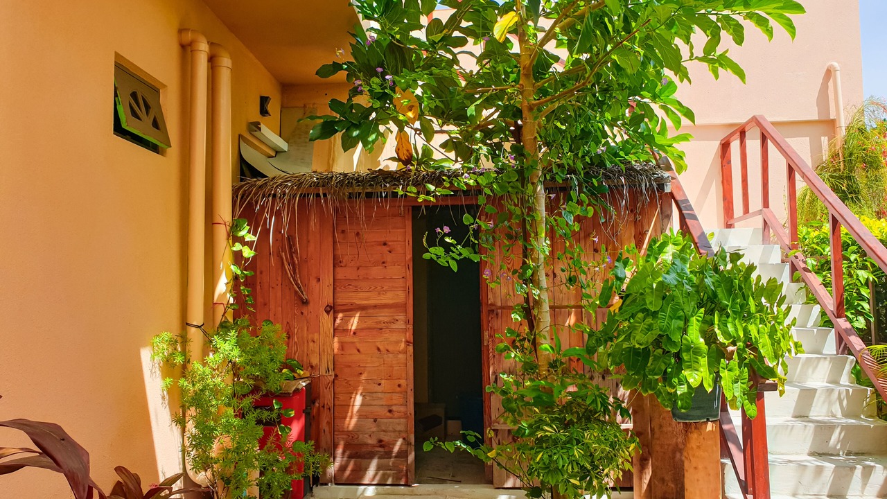 Photo of Outdoor in Omadhoo