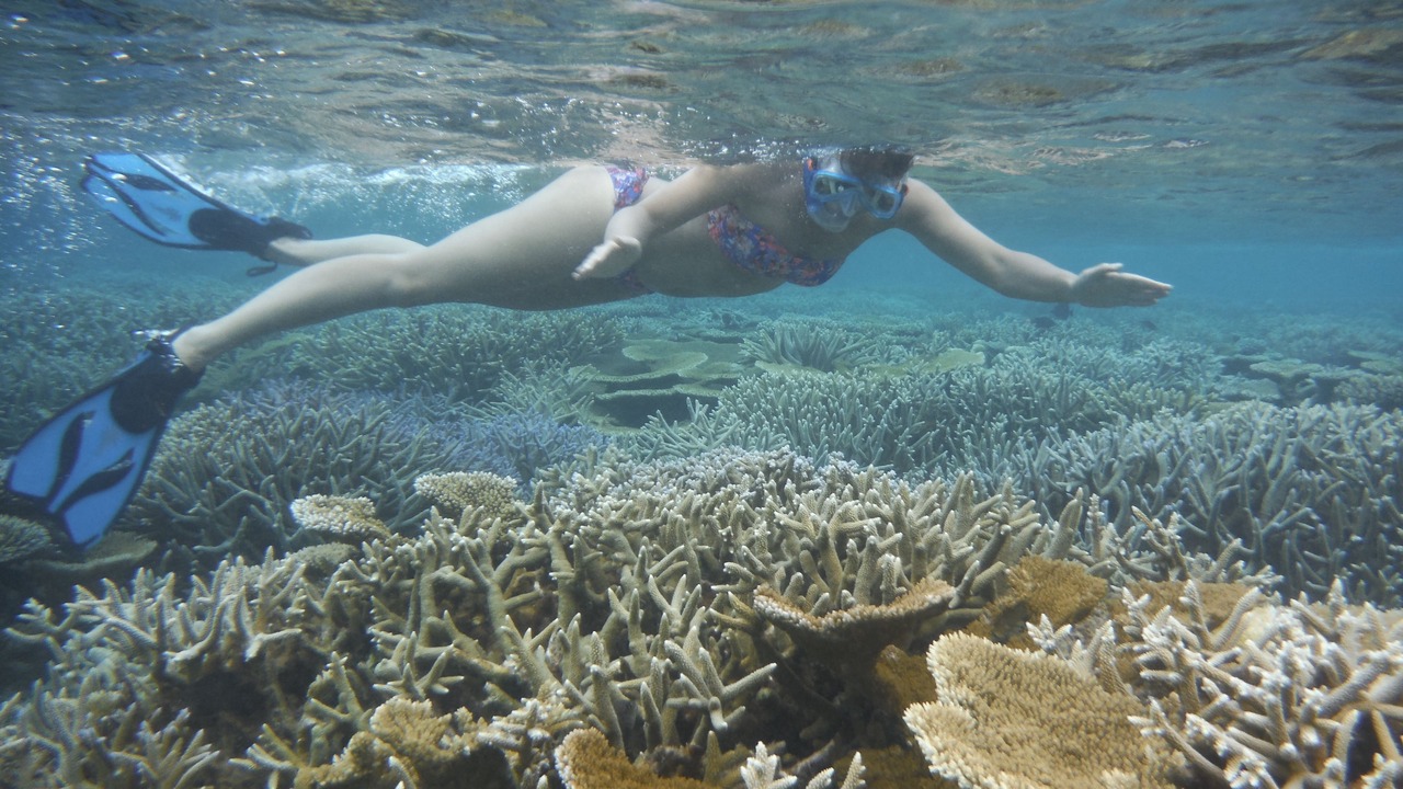 Photo of Others in Ukulhas