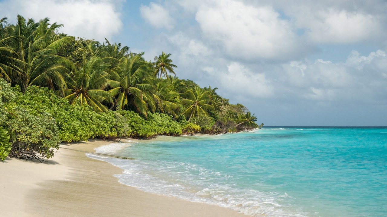 Photo of Others in Thoddoo