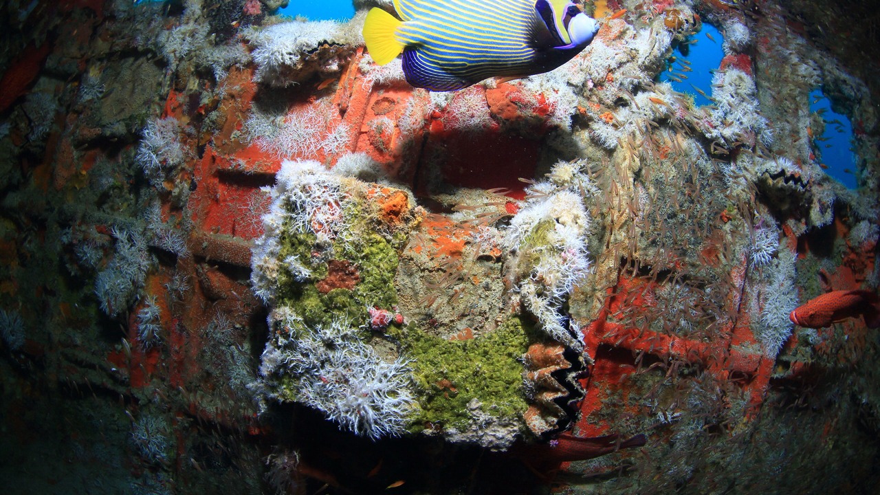 Photo of Outdoor in Mirihi