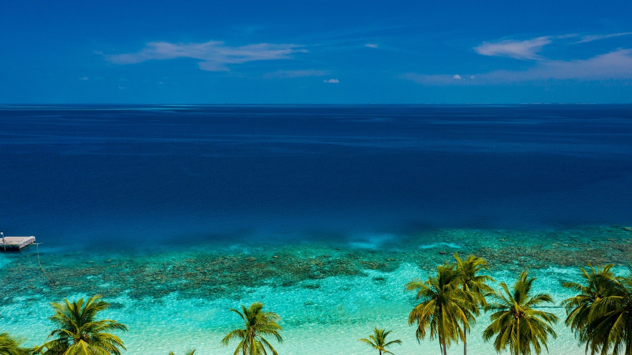 Photo of Others in Mirihi