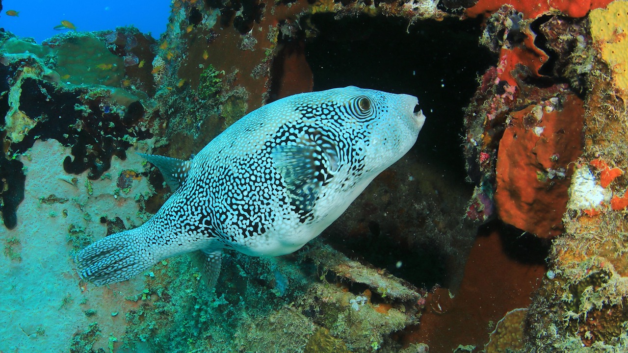 Photo of Outdoor in Mirihi
