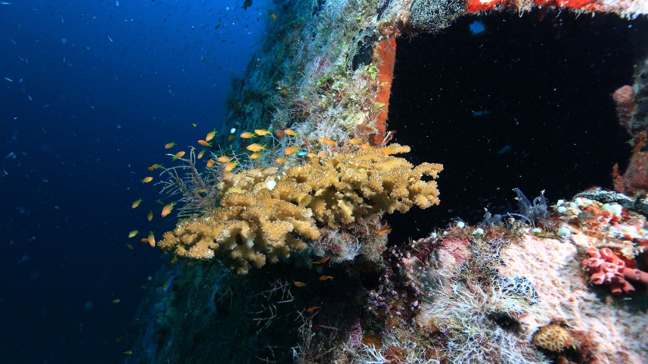 Photo of Outdoor in Mirihi