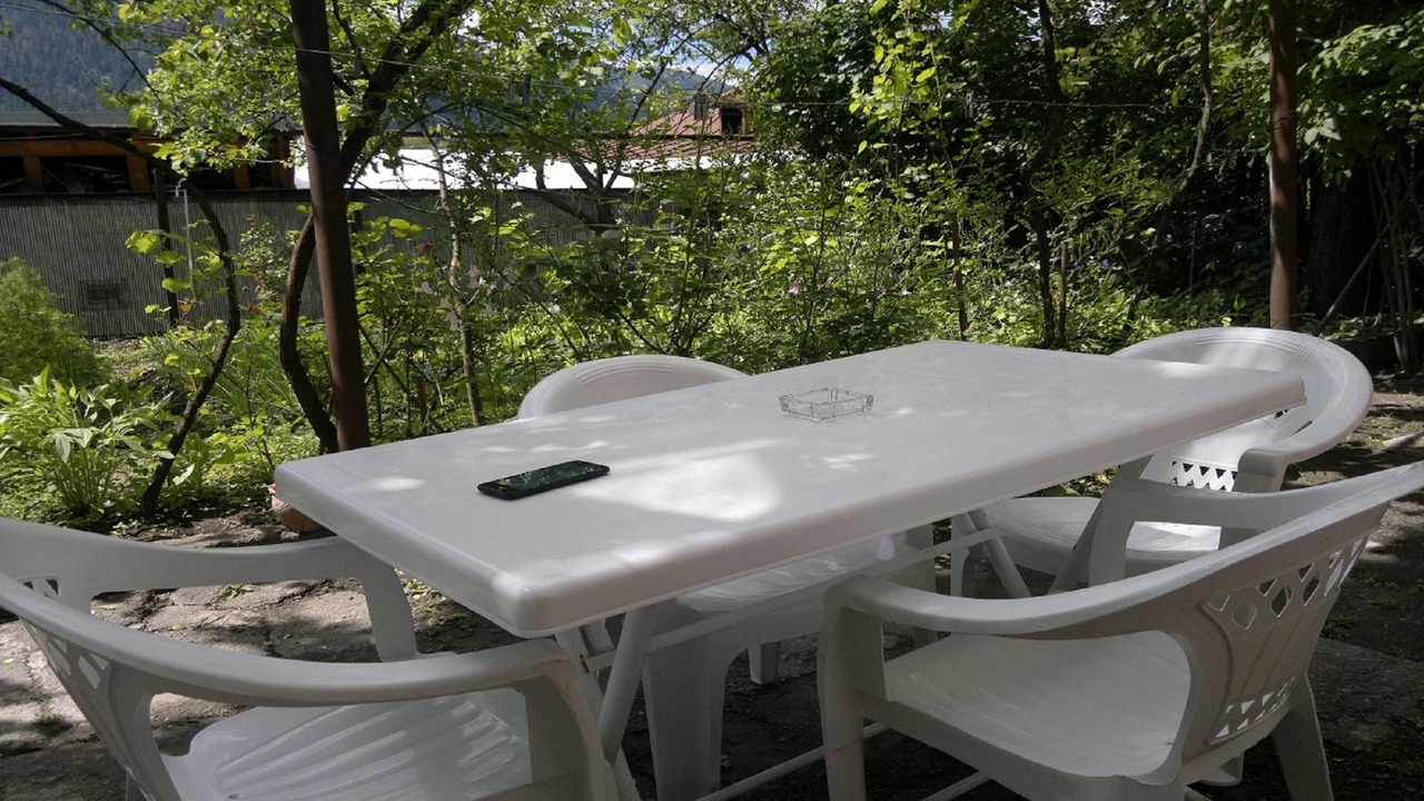 Photo of Outdoor in Borjomi