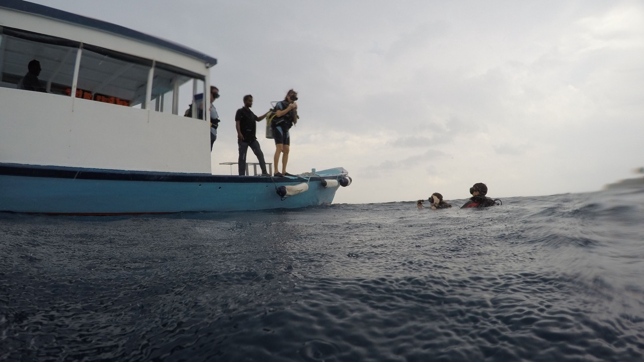 Photo of Outdoor in Hoarafushi
