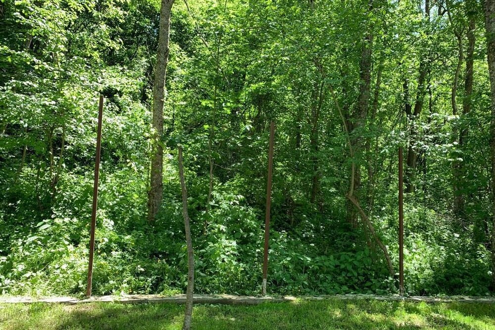 Photo of Outdoor in Mtskheta