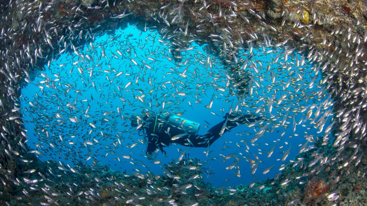 Photo of Outdoor in Bathala Island