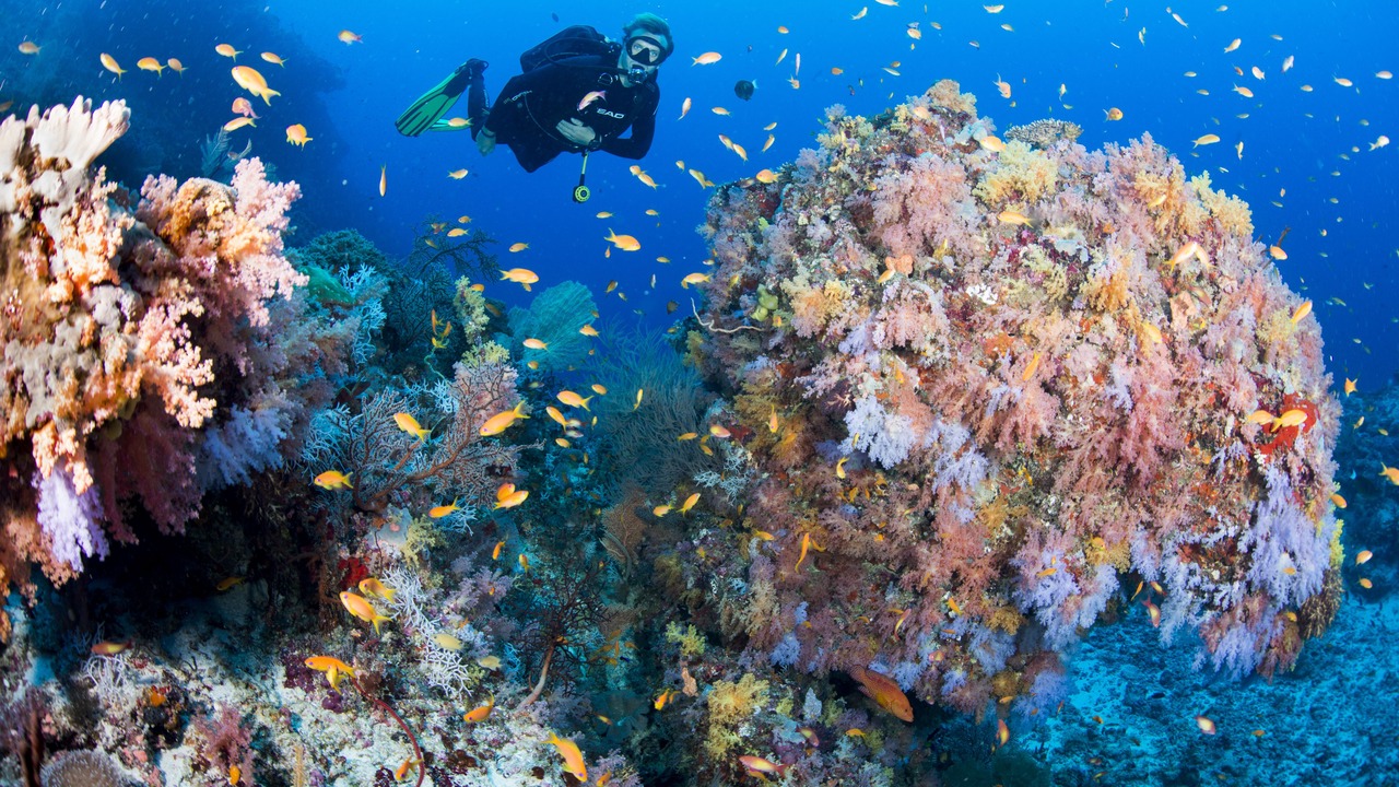 Photo of Others in Bathala Island