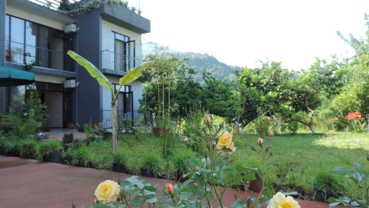 Photo of Outdoor in Gonio