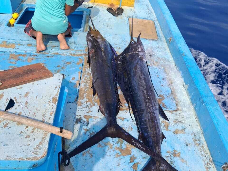 Photo of Others in Dhiffushi