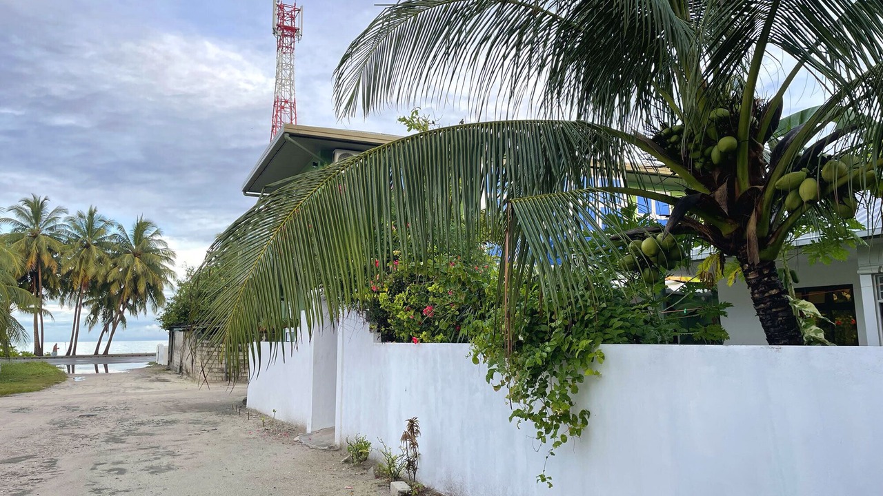 Photo of Outdoor in Gan