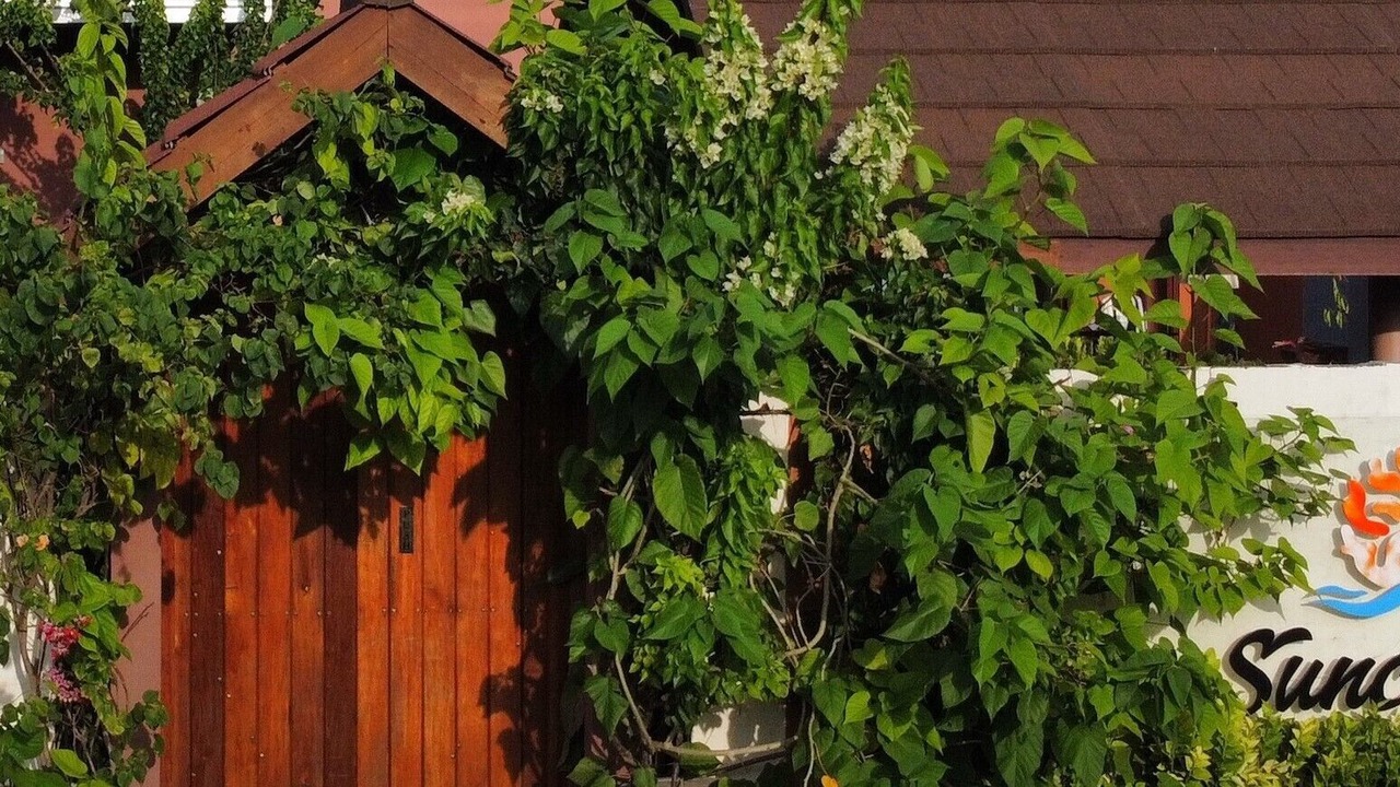 Photo of Outdoor in Gaafu Alifu Atoll