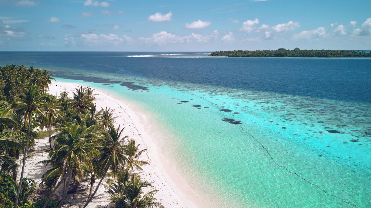 Photo of Others in Gaafu Alifu Atoll