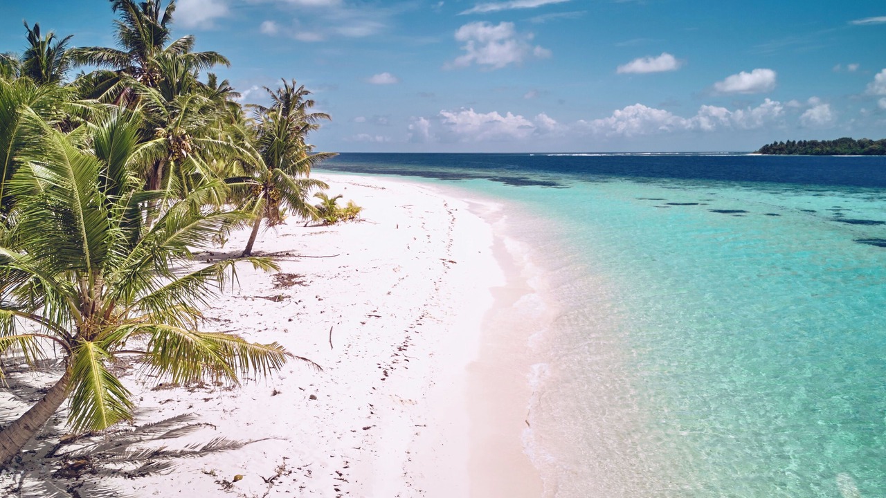 Photo of Others in Gaafu Alifu Atoll