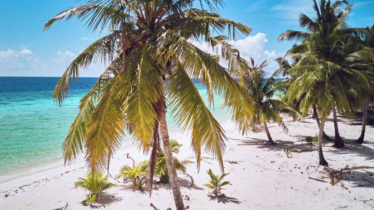 Photo of Others in Gaafu Alifu Atoll