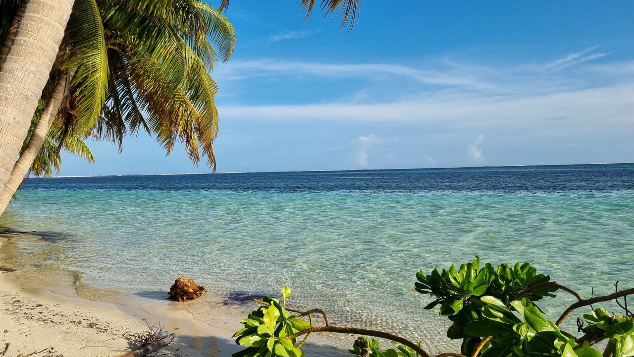 Photo of Others in Vaadhoo