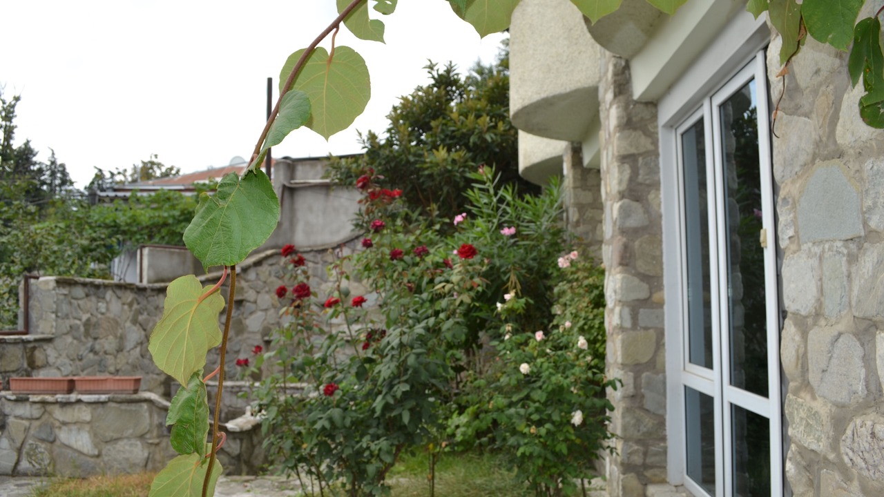 Photo of Outdoor in Telavi