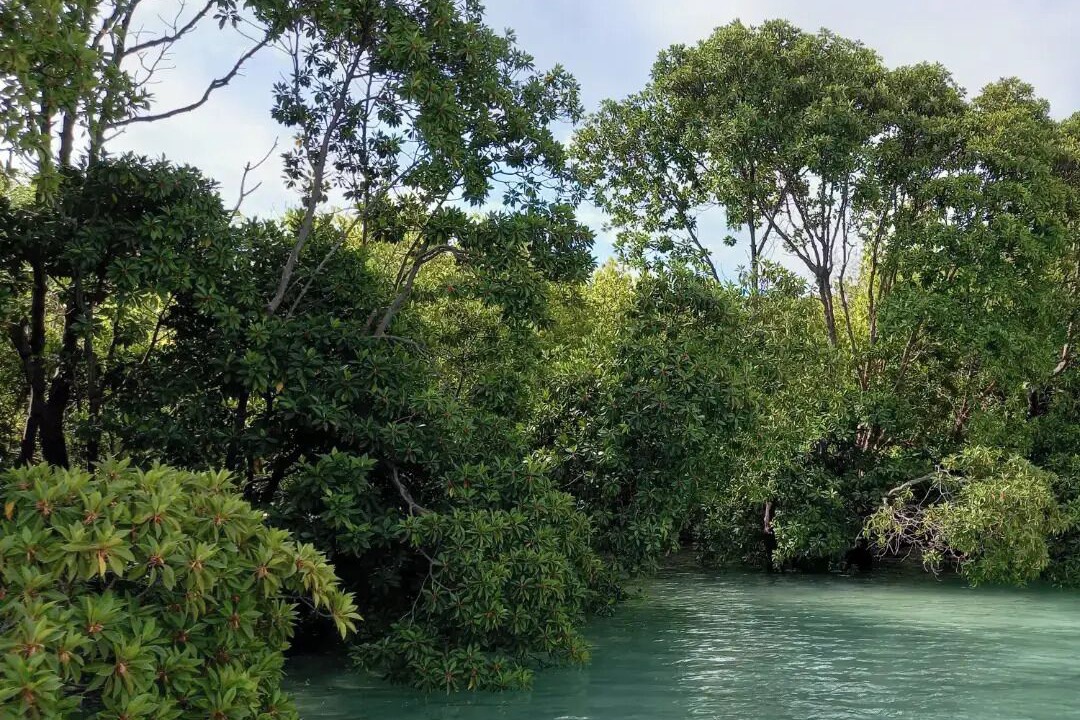 Photo of Outdoor in Fiyoari Island