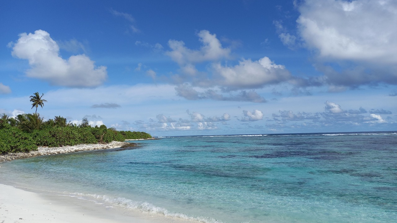 Photo of Others in Fiyoari Island