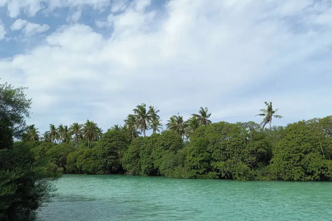 Photo of Outdoor in Fiyoari Island
