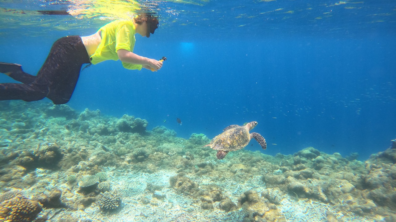 Photo of Others in Himandhoo