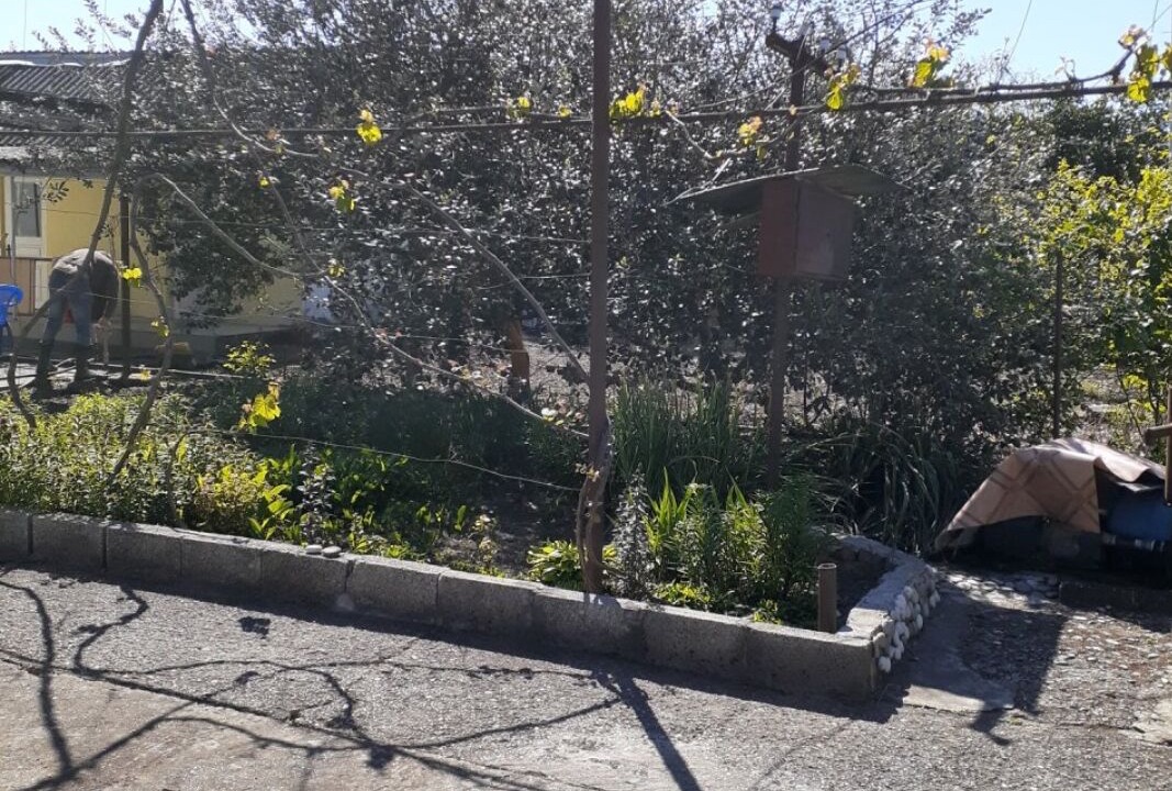 Photo of Outdoor in Alakhadzi