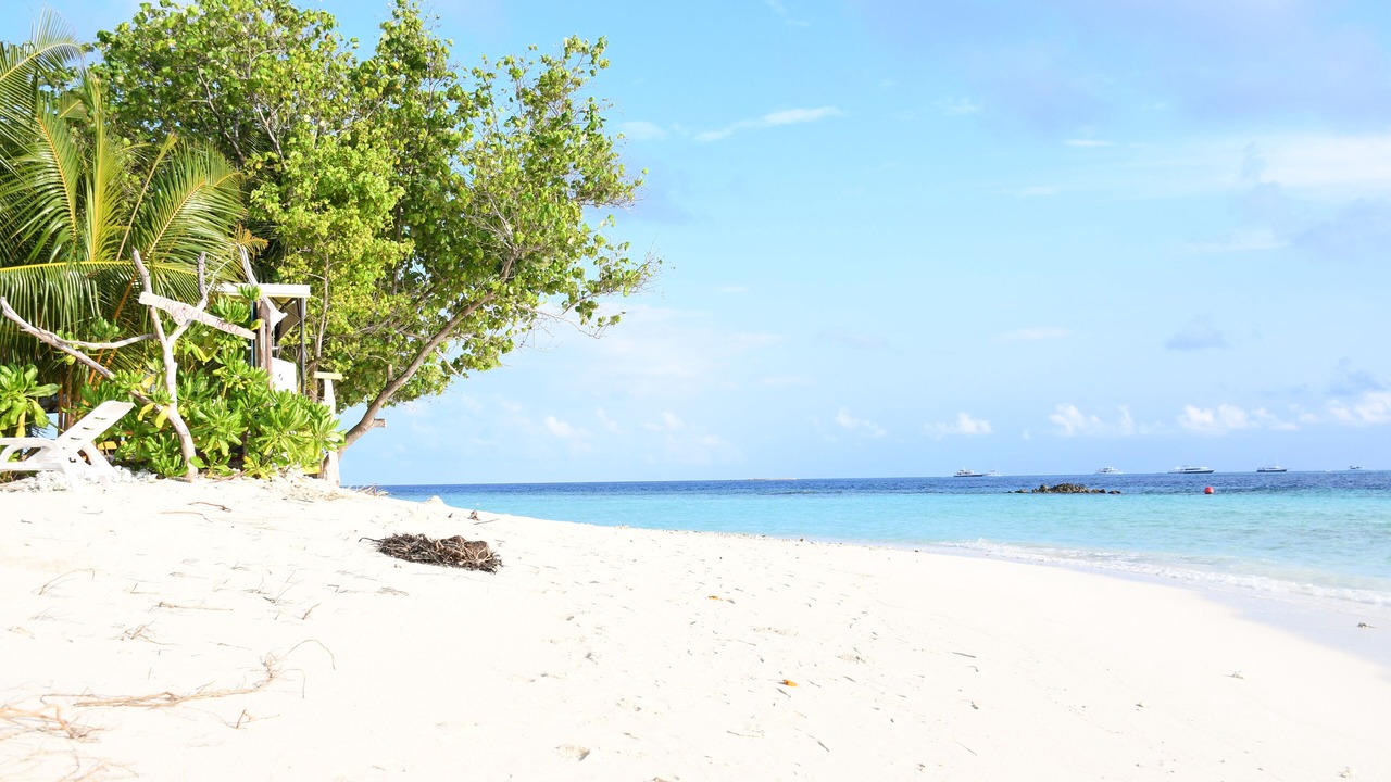 Photo of Others in Thulusdhoo Island