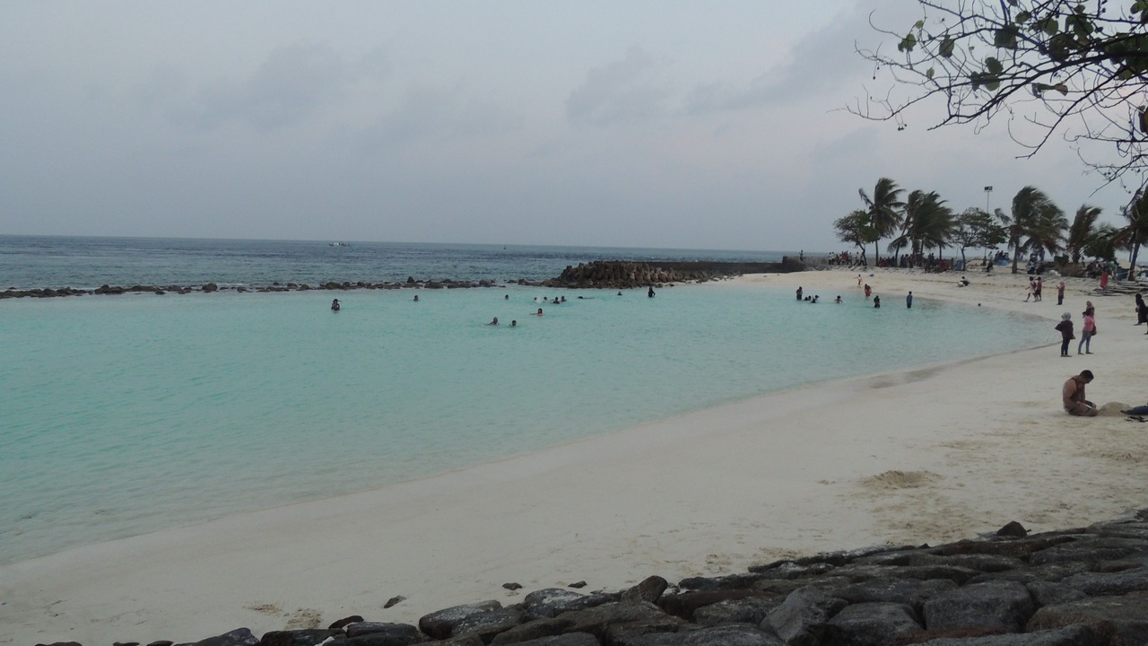Photo of Outdoor in Male