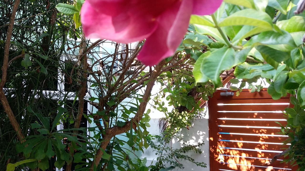 Photo of Outdoor in Rasdhoo