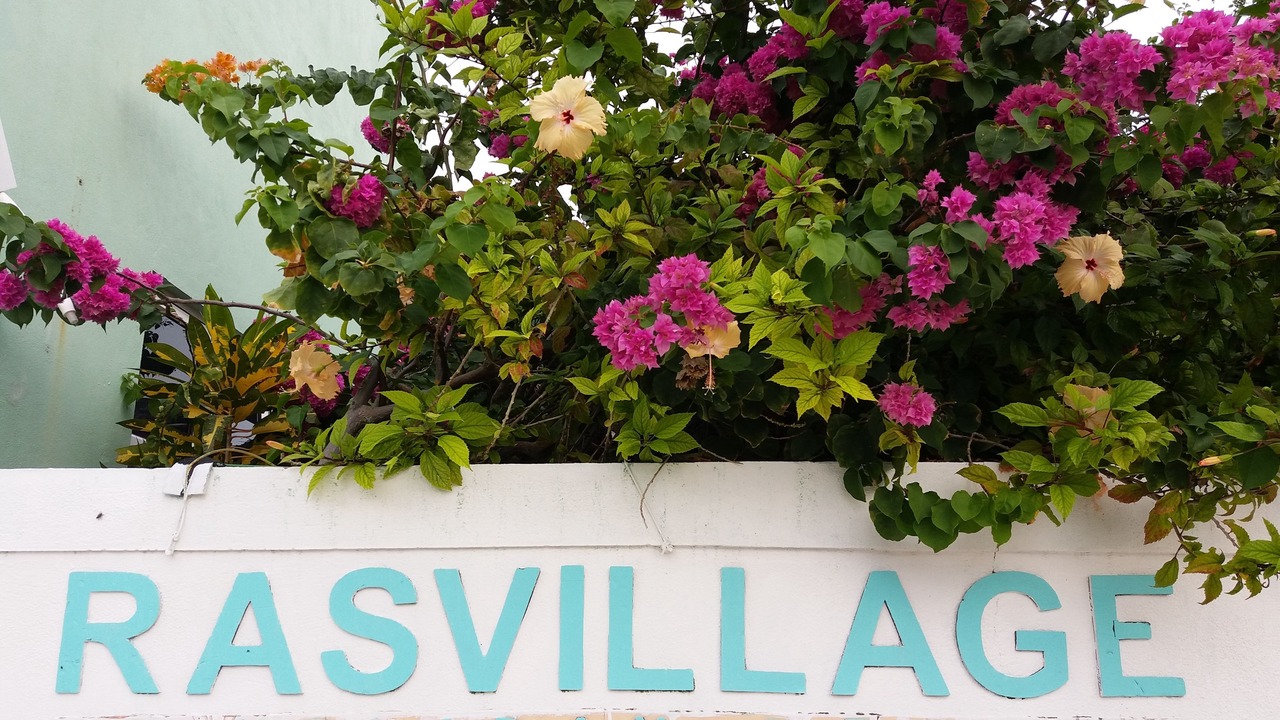 Photo of Others in Rasdhoo