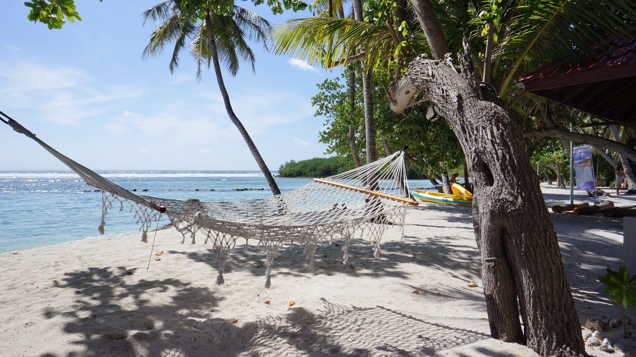Photo of Others in Thulusdhoo Island