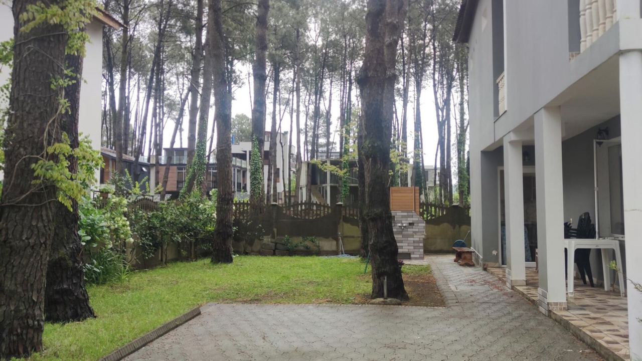 Photo of Others in Ureki