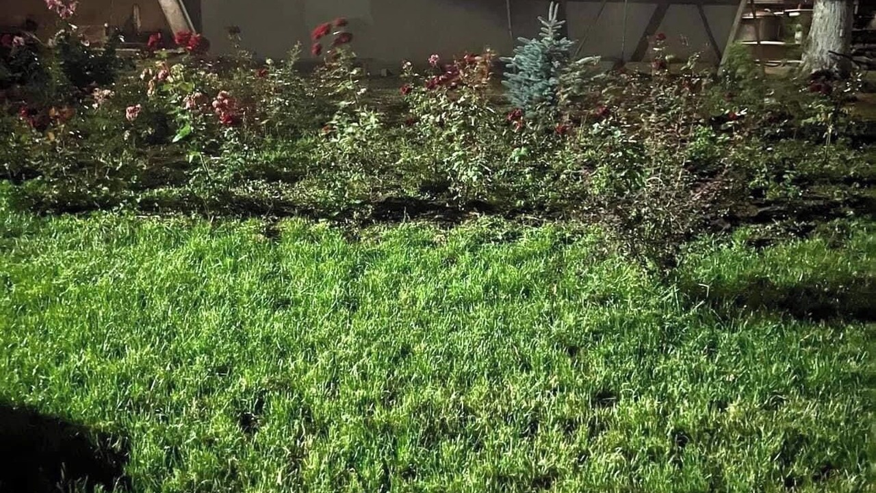 Photo of Outdoor in Tbilisi